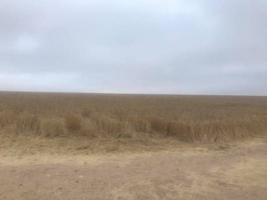 20953571_1906999126208055_2262739617955742669_n